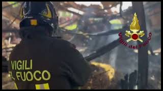 Incendio in una scuderia a Treviso: morti sei cavalli, Vigili del fuoco al lavoro
