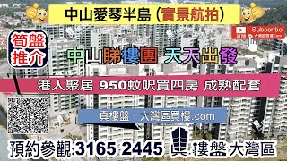 爱琴半岛_深圳|首期5万(减)|950蚊呎买四房|大型社区|成熟配套 (实景航拍)