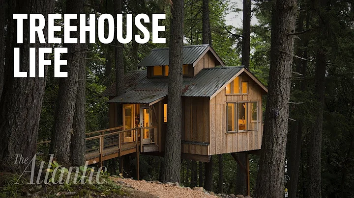 Would You Live in a Treehouse? - DayDayNews