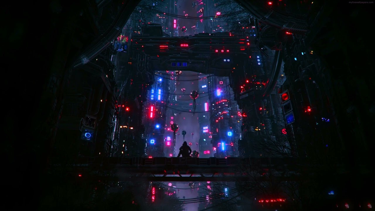 You Look Lonely i can fix that - Mr.Kitty After Dark