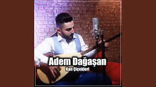Kan Çiçekleri