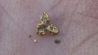 НАШЁЛ  ЗОЛОТОЙ САМОРОДОК!!! РОССЫПЬ БОГАТЕЙШАЯ!!!FOUND A GOLD NUGGET!!! A SCATTERING OF RICH!!!