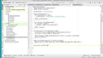 Video 24   Insert a New Record into SQLite using Flutter