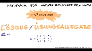 Problem 19a (SS20)