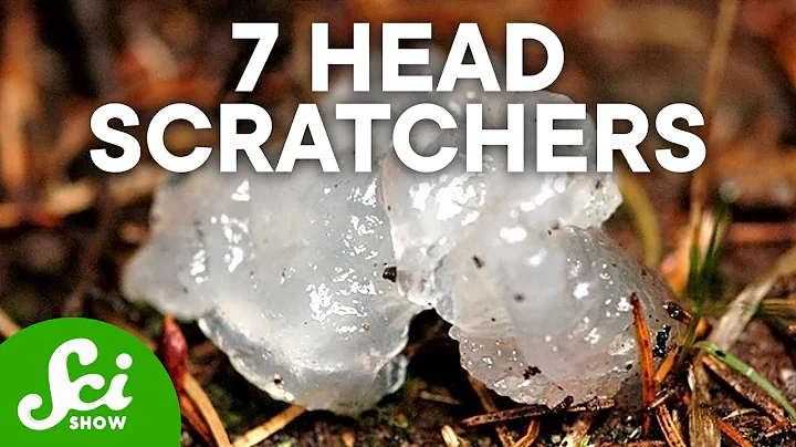 7 Chilling Mysteries Still Unsolved by Scientists