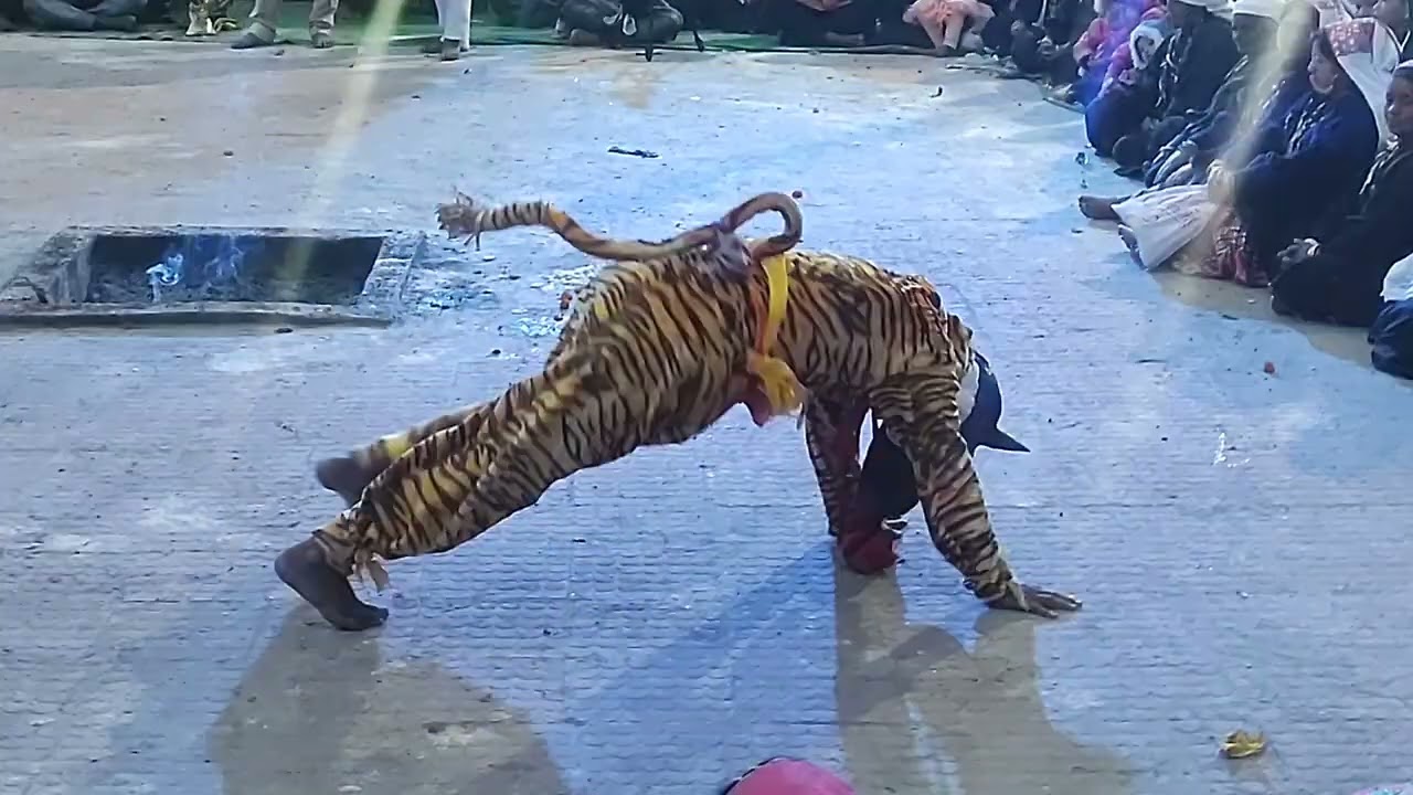 मुखौटा या बाघ का रूप पहनकर नृत्य किया जाता है।