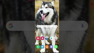 How to autowalk to earn candies and hatch eggs 1000% work. In pokemon go screenshot 2