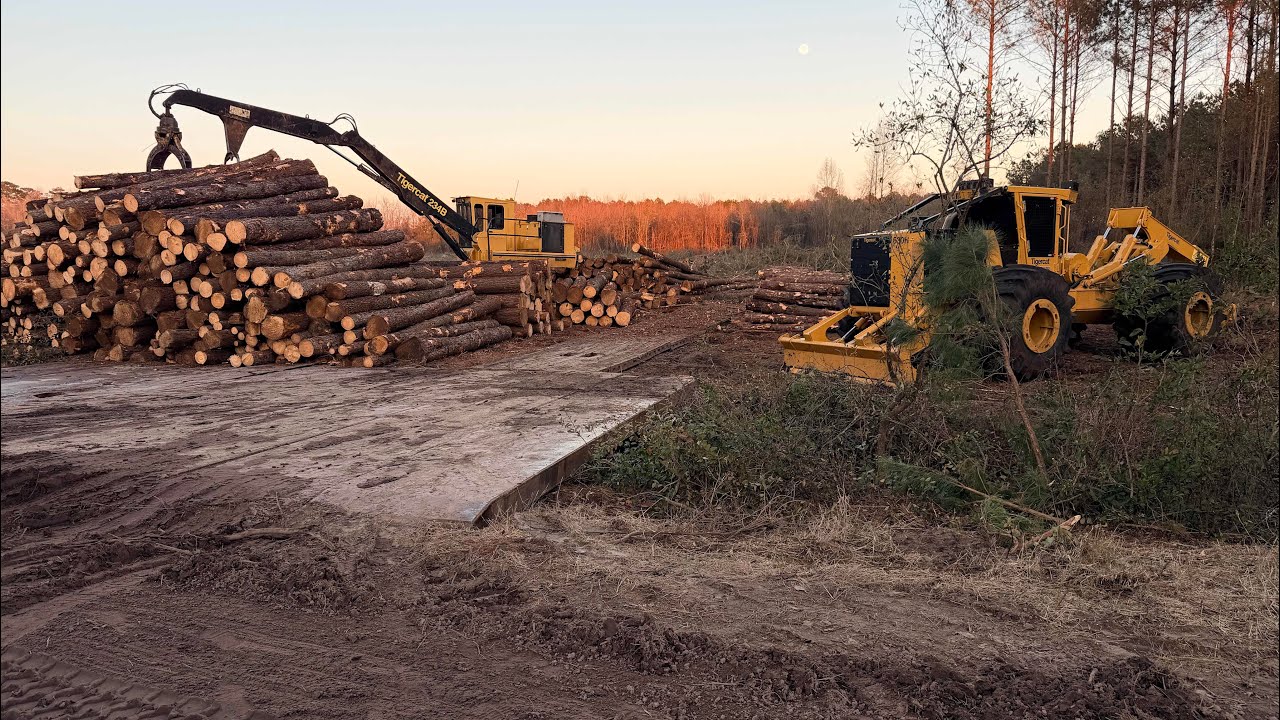 DSL — более 80 партий целлюлозы.