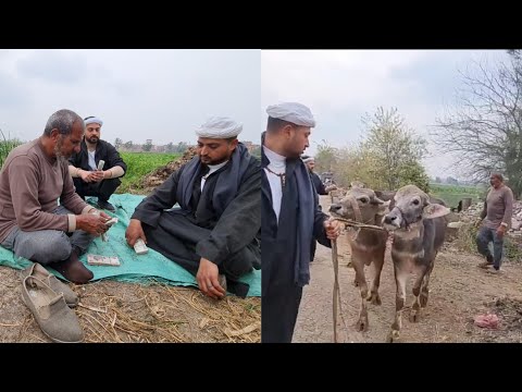 التوأمان في تفاوض علي شراء شبات جاموس من زريبة فلاح في الغيط والفلاح صدمني بعد ما باع