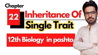 Inheritance Of Single trait || class 12 biology chap 22 in pashto