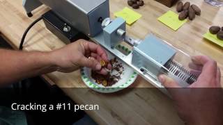 Sample Cracker Demo Net Worth