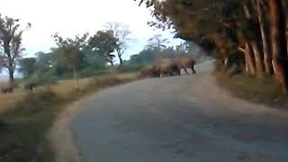 Download lagu Mongma Jraksa Rama Batsotangenga