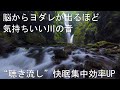 🎧【脳からヨダレ 川の音】聞き流すだけで物凄い癒しの力で心も身体も浄化され、快眠、集中力アップ、仕事の効率アップが期待できるASMR自然音