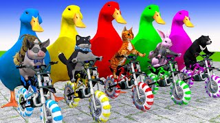 5 Giant Duck, Monkey, Lion, piglet, chicken, cat, Tiger, Sheep, Transfiguration funny animal 2024