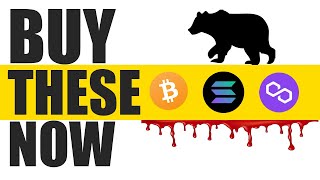 7 Crypto You Have To Buy In This Bear Market
