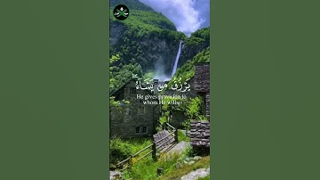 الله لطيف بعباده يرزق من يشاء | سورة الشورى [ الآية 19]