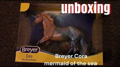 Breyer Cora unboxing!#unboxing video #breyerhorses #equestrianjourney #diy