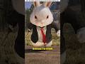 সাহসী ছেলের স্বপ্ন যখন খরগোশে পরিণত হয়#rabbit
