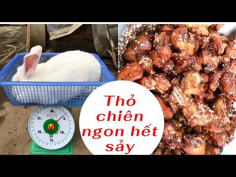 Video: Công Thức Cổ điển Cho Thỏ Rán