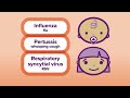 How vaccines work for pregnancy and newborns