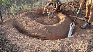 Planting Moringa to Capture Rain Water