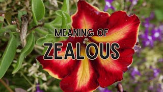 What Is The Meaning Of Zealous?