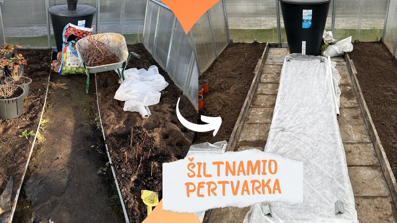 Šiltnamio perorganizavimas/pirmas kiemo projektas šiemet