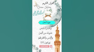 سورة النمل من الآية 17 الى الآية 18 بصوت جميل ورائع لتحصين نفسك من كل شر #القرآن_الكريم