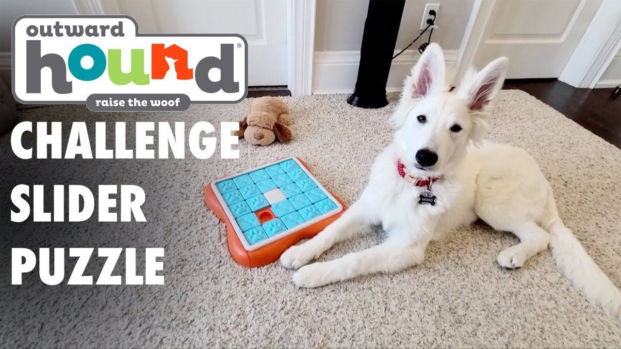 Outward Hound Nina Ottosson Dog Challenge Slider Interactive Treat Puzzle