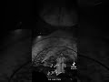 ذكرى مافيني شي