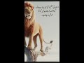 Insan ki aqal itni ha Urdu quotes | Urdu beautiful lines | Urdu lines | best Urdu quotes | Anmol tv