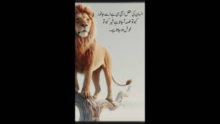 Insan ki aqal itni ha Urdu quotes | Urdu beautiful lines | Urdu lines | best Urdu quotes | Anmol tv
