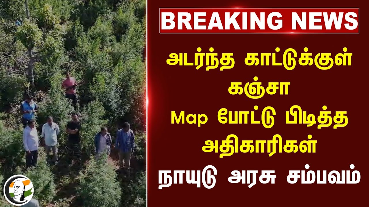🔴#Breaking : அடர்ந்த காட்டுக்குள் கஞ்சா! Map போட்டு பிடித்த அதிகாரிகள் | Andhra Pradesh