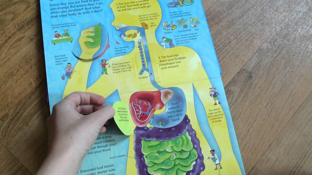 See Inside Your Body - YouTube