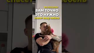 То что нужно для дома с детьми и питомцами —моющий пылесос Ultra Homiko WB #320421963 Oz #1849374108