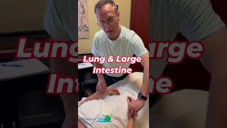 Why Pulse Diagnosis Matters in Acupuncture - #Acupuncture #PulseDiagnosis #PeaceofZenTV