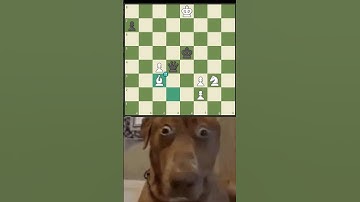 bạn hiểu tại sao không. Why is this such a brilliant move? #chess #covualogic