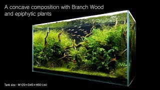 [ADAview] 120cm Aquarium Layout: Concave Composition with Driftwood and Epiphytic Plants This video shows a layout creation 