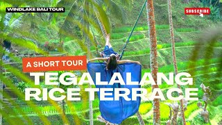 Short Tour to Rice Terrace Tegallalang