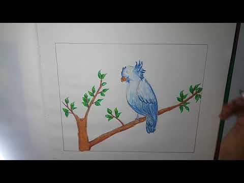 How to Draw a Bird Sitting on the tree | Bird & Tree Drawing with