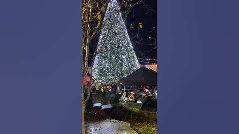 Thumbnail of Carndonagh Brass Band: Hark The Herald Angels Sing 2022