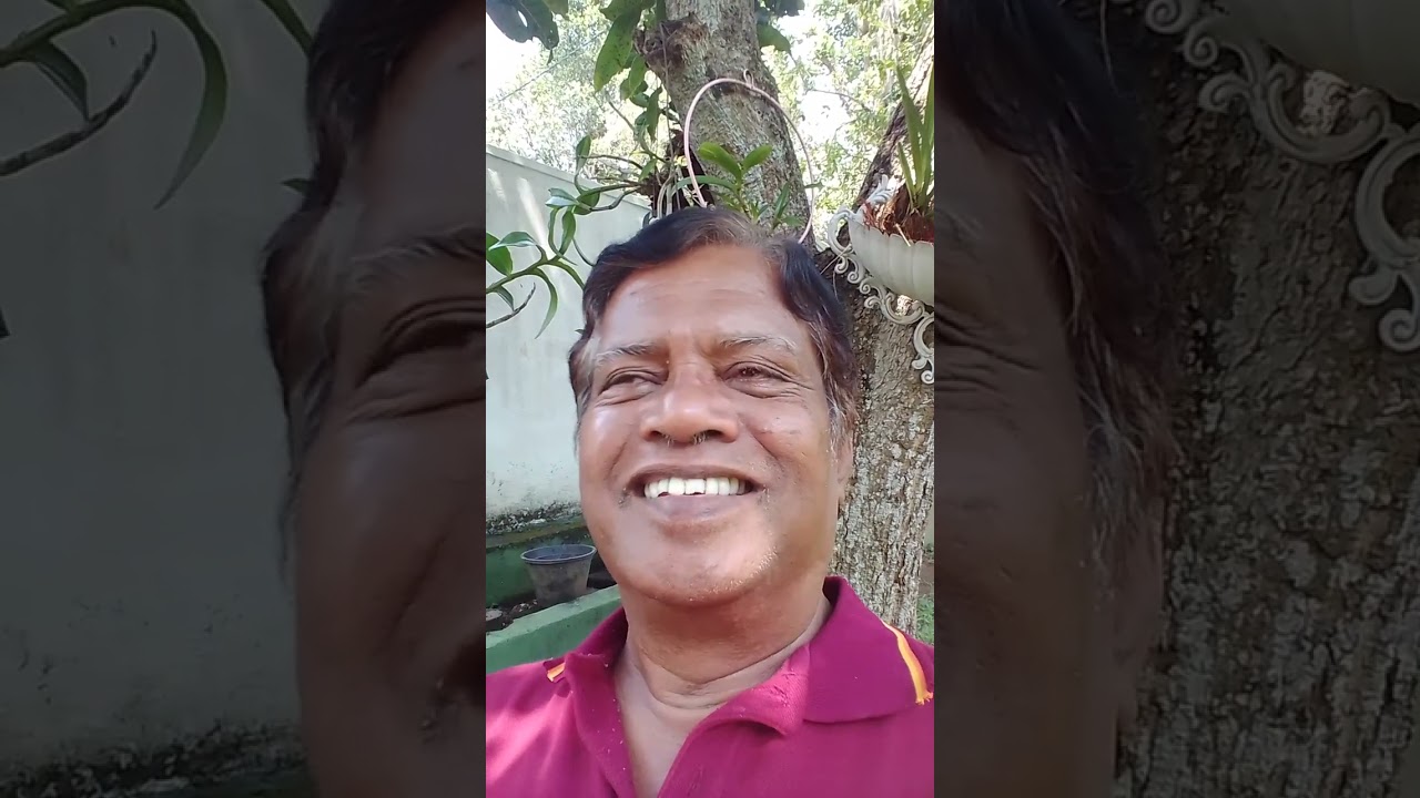 500-නිවන ගැන 500 වන වීඩියෝව.Subscribes-104.කාලය අවු2මාස2දින7Views 11600like118Comments117 Shares1400