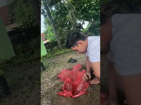 Video: Informasi Kolam Pantul: Mengapa Memasang Kolam Pantul Di Halaman Anda