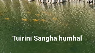 Tuirini Sangha Humhal