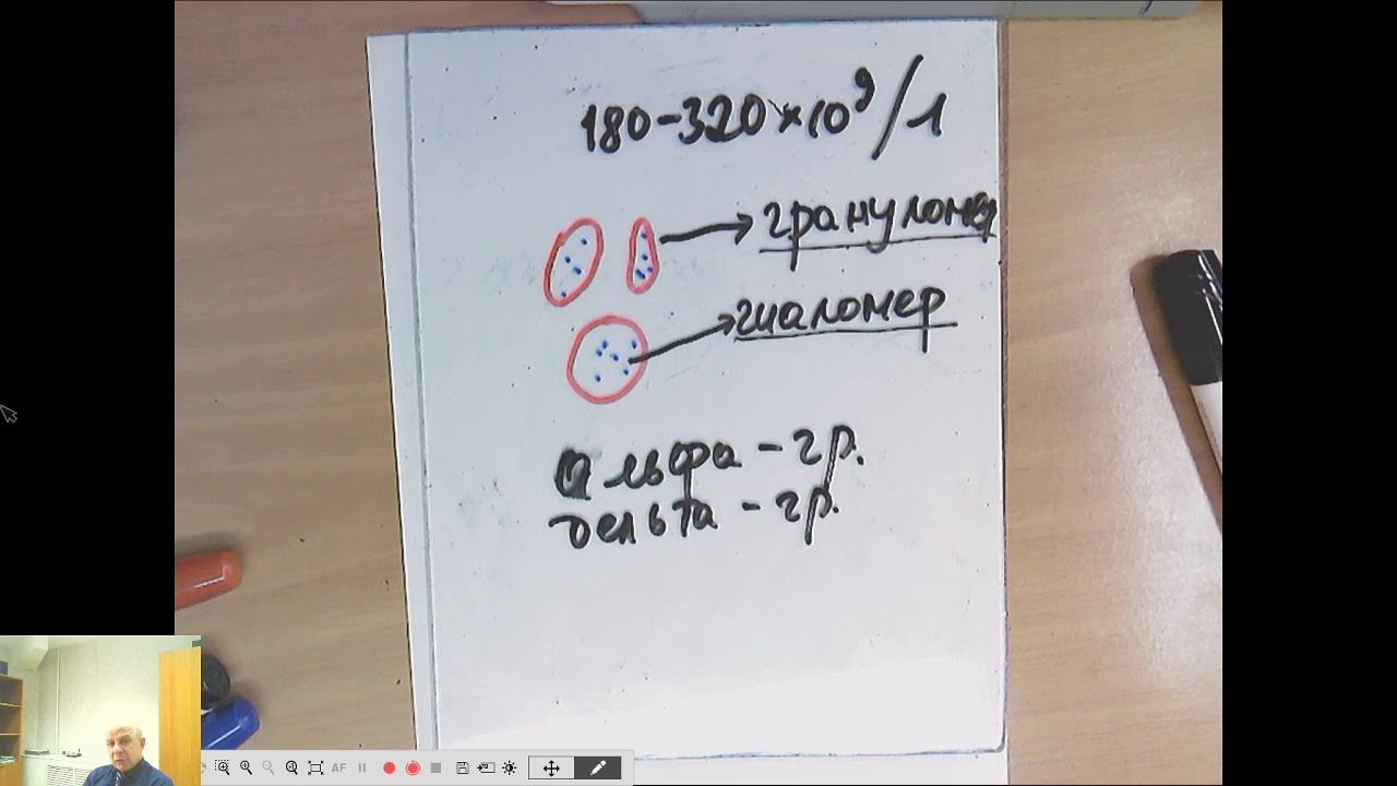 1.2 ЛФ Гистология. Соединительные ткани. Кровь. — Transcript