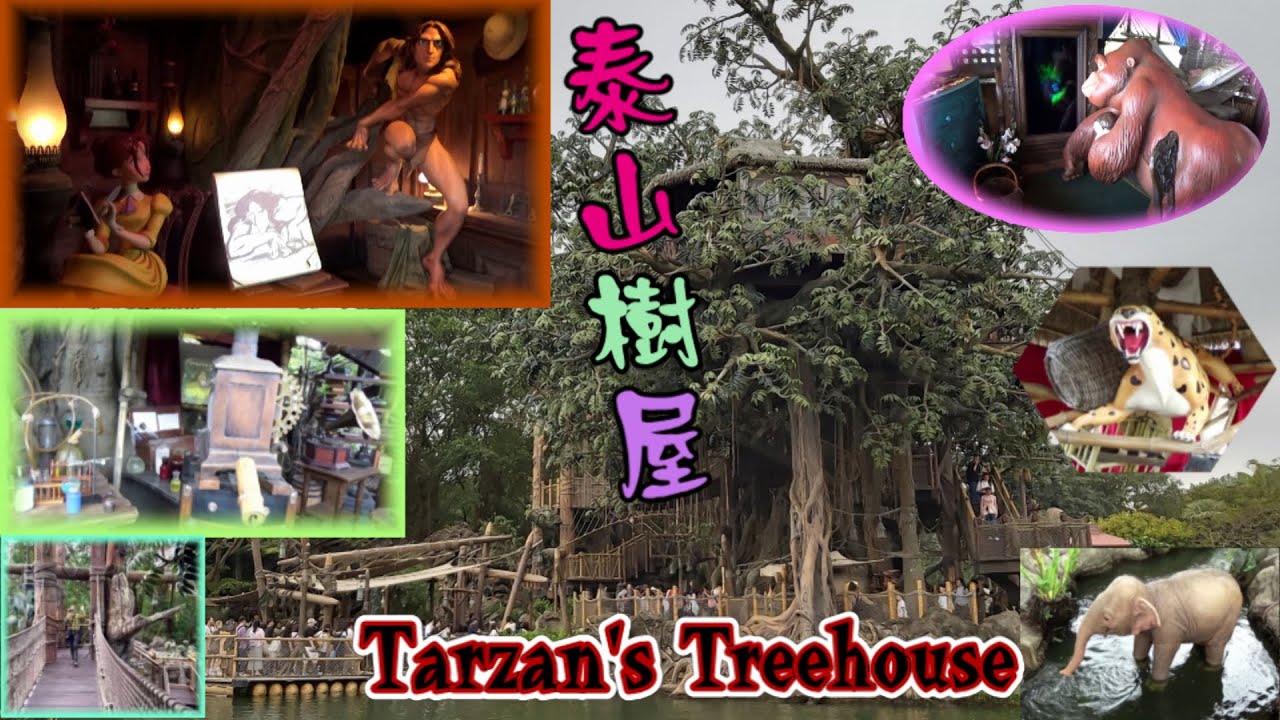 『泰山樹屋 Tarzan's Treehouse』~ 探索《泰山》的傳奇故事 經歷泰山原野生活