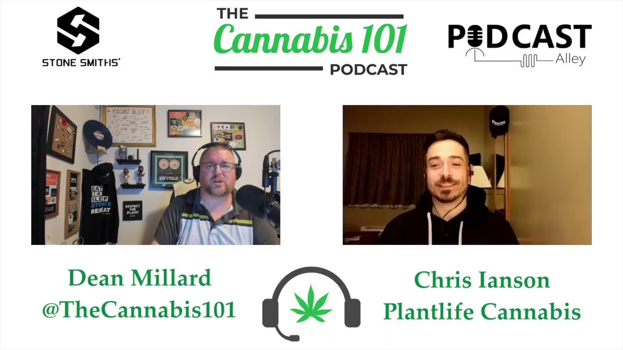 Know Your Buds - Lemon Berry by Ness from Episode 82 of The Cannabis 101 Podcast