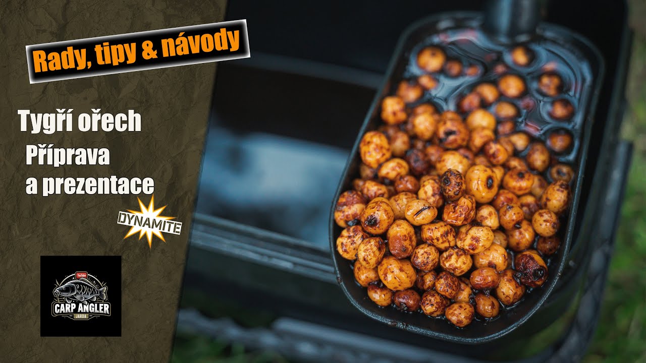 Tygří ořech - příprava a prezentace