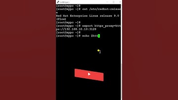Configure Proxy for Internet in Linux Server | RHEL/CentOS #shorts #trending #viralshorts #linux
