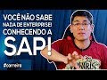 Você não sabe nada de Enterprise. Conhecendo a SAP!